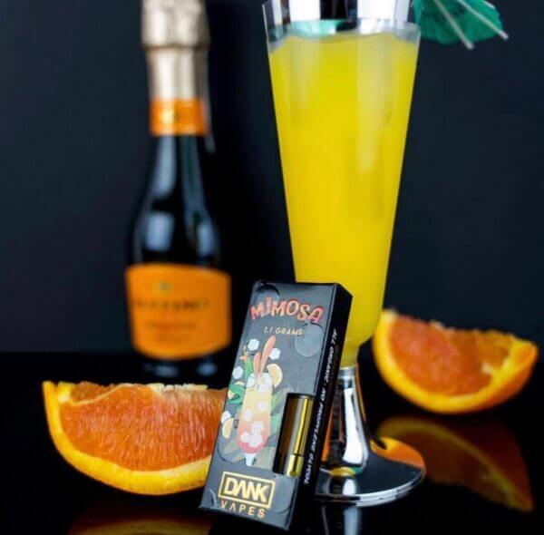 Mimosa
